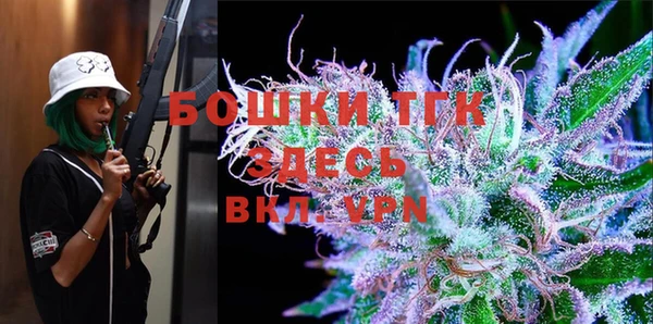 PSILOCYBIN Дмитриев