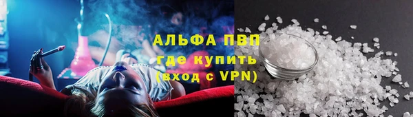 PSILOCYBIN Дмитриев