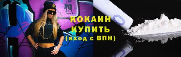 PSILOCYBIN Дмитриев