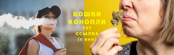 гашик Елизово