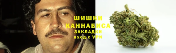 PSILOCYBIN Дмитриев
