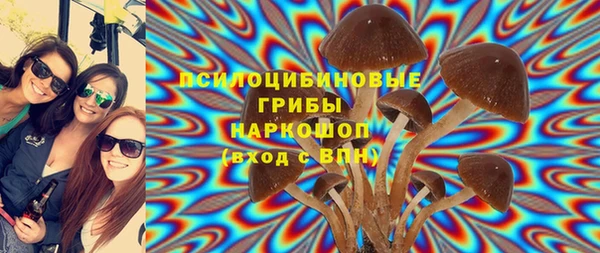 мет Дмитров