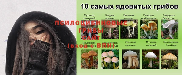 PSILOCYBIN Дмитриев