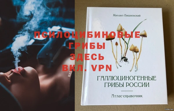 дживик Ельня