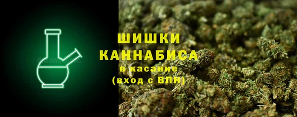мет Дмитров