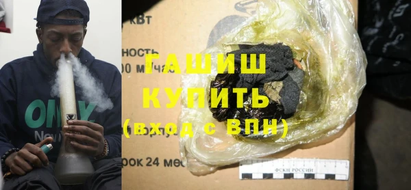 дживик Ельня