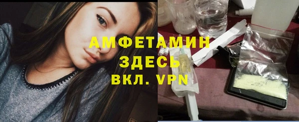 мет Дмитров