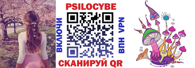 Галлюциногенные грибы Psilocybine cubensis  Купить где  Починок 